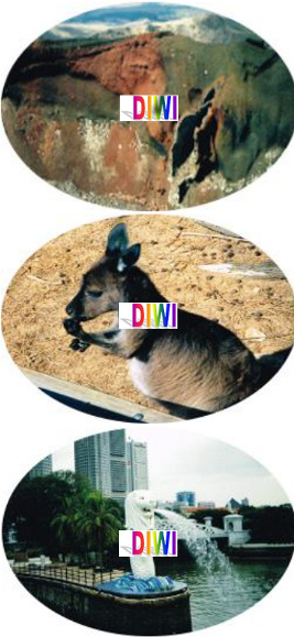 Krater - Kaenguru - Merlion